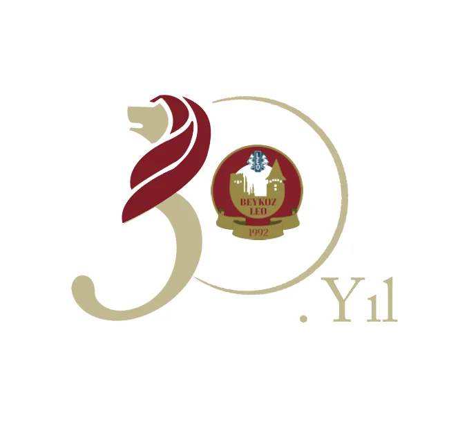 30th anniversary logo